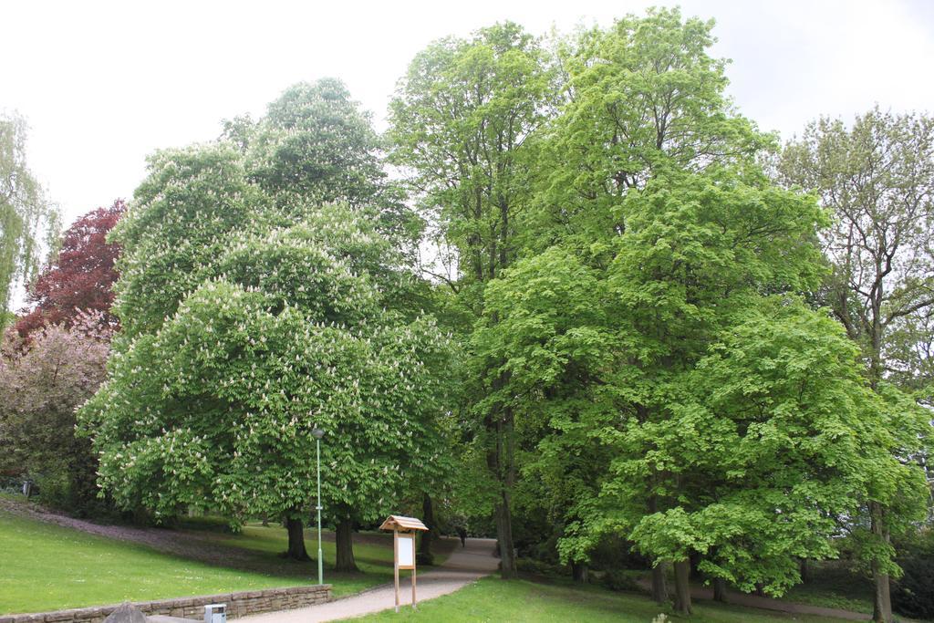 Privatzimmer Hagen Exteriör bild
